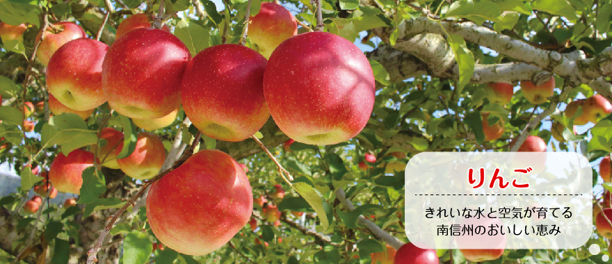 りんごーきれいな水と空気が育てる南信州のおいしい恵み